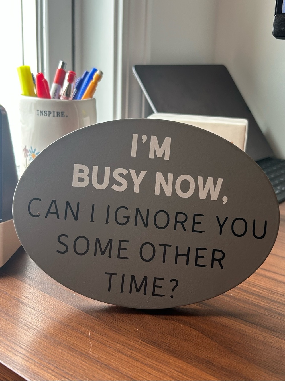 Funny Office Desk Sign “I’m Busy Now, Can I Ignore You Some Other Time?” Gray
